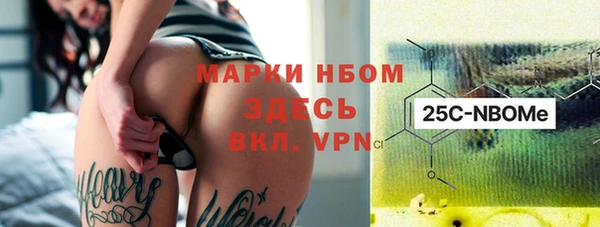 шишки Медногорск