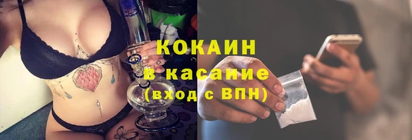 шишки Медногорск
