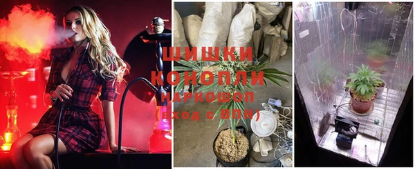 шишки Медногорск